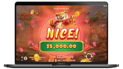 Lucky Tiger 1000 Pc