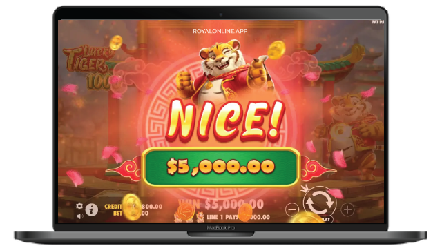 Lucky Tiger 1000 Pc